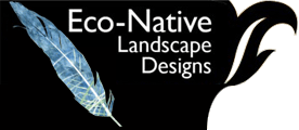 EcoNative Landscape Design